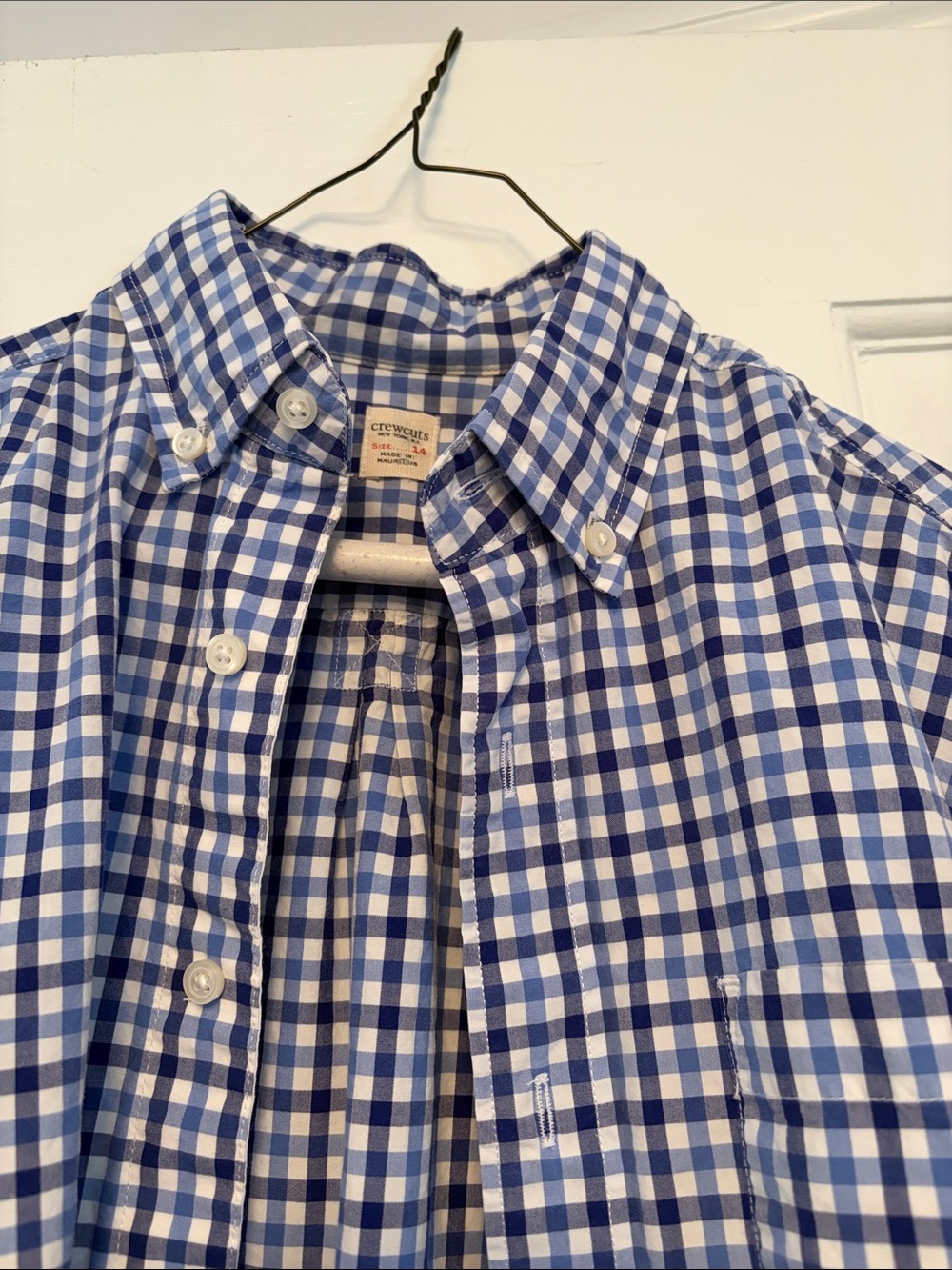 Crewcuts Blue & White Gingham Button-Down Shirt